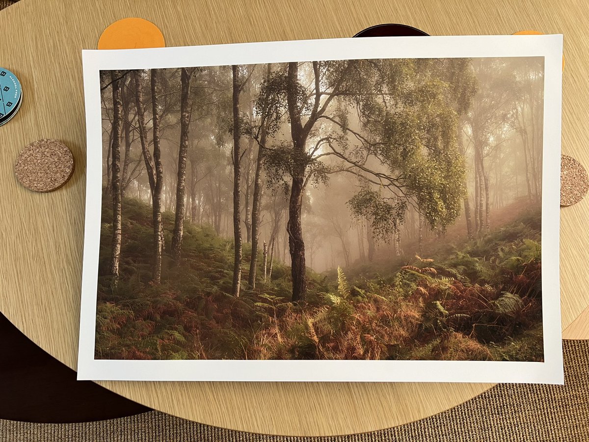 nickjoyner55's tweet image. Rather pleased with this! #Fotospeed