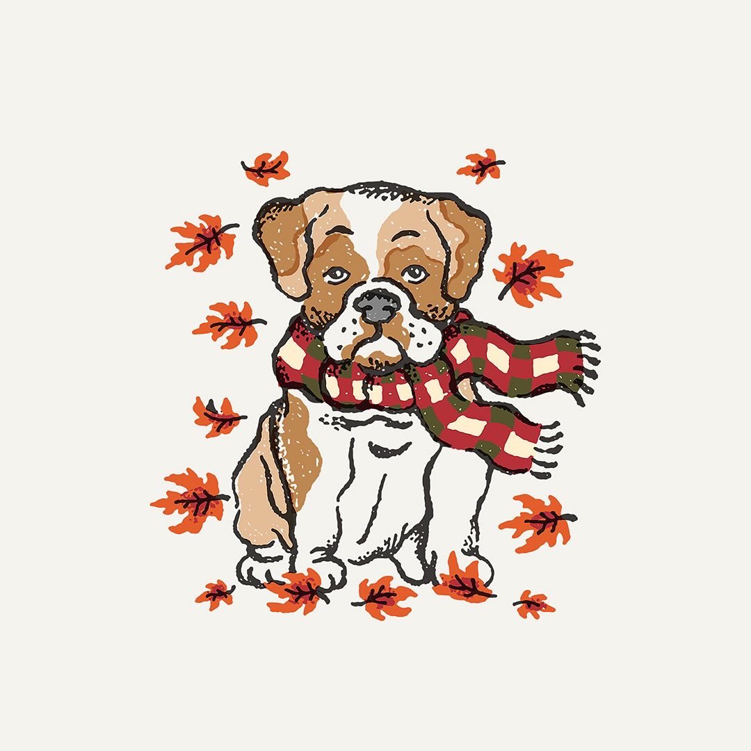 dukeandwinston's tweet image. Bulldog Fall is here!! #happyfall 🐶🧣🍂🍁