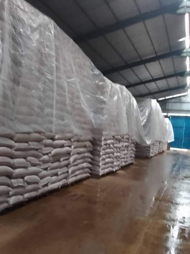 JoelHer55728877's tweet image. En los almacenes de la UEB Industrial La Francia se resguarda el arroz de semilla para asegurar la campaña venidera por las intensas lluvias ocasionadas de la tormenta tropical #Hellen #PreparadosYAlertas #PinarDelRío