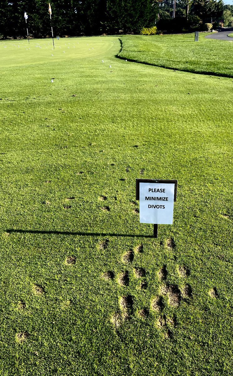 Clearly asking too much…. 
Chipping area inundated with huge divots.   Cmon guys it’s a 15 yard pitch.   Why divot at all? 🙃🤦‍♂️