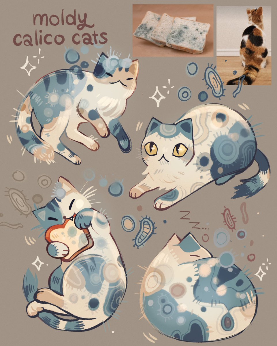 mold x calico cats!