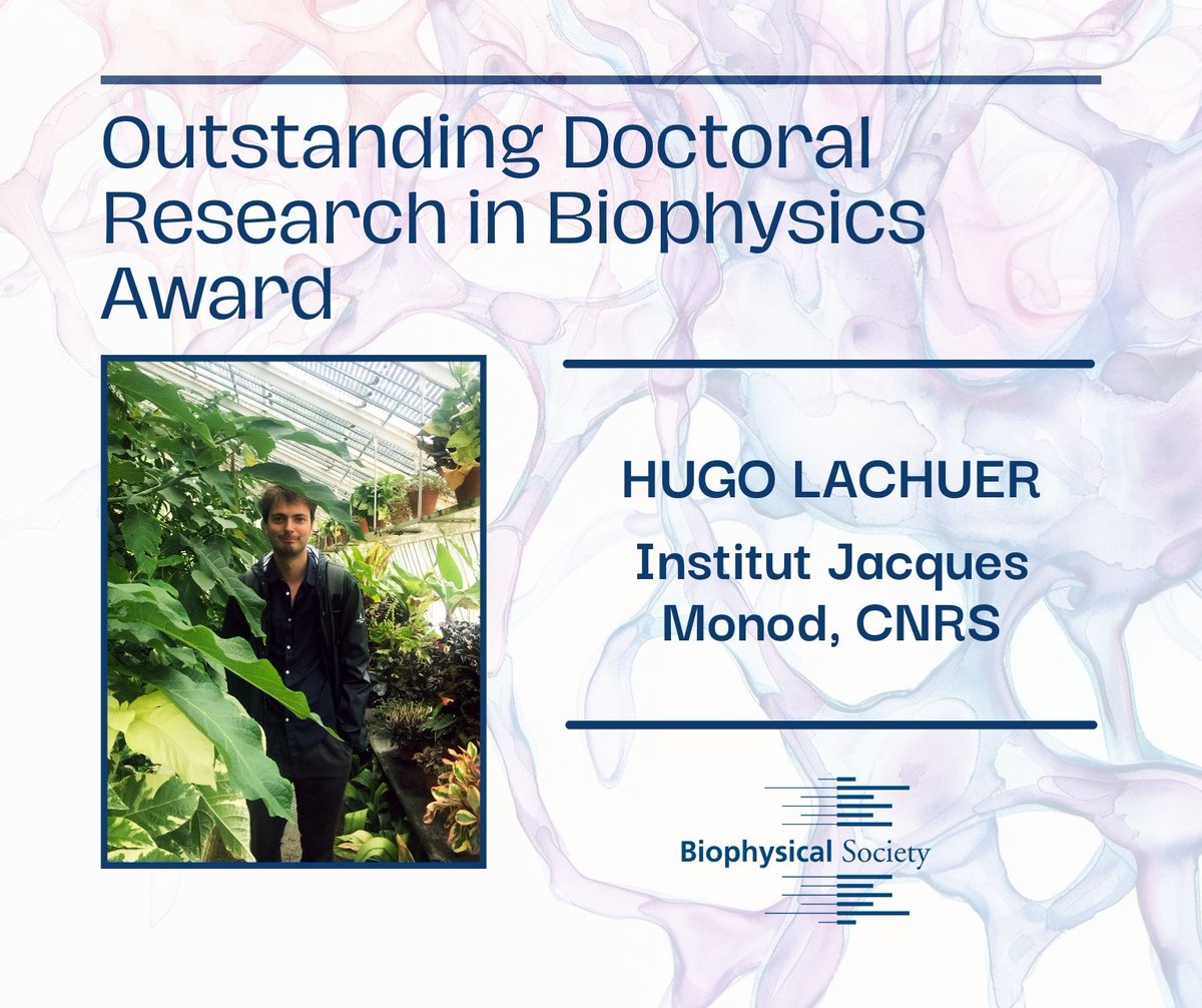 Biophysical Society (@biophysicalsoc) on Twitter photo Hugo Lachuer to Receive 2025 Outstanding Doctoral Research in Biophysics Award
ow.ly/3ZXE50TuVzO
<a href="/hugo_lachuer/">Hugo Lachuer</a> <a href="/IJMonod/">Institut Jacques Monod</a> Hugo Lachuer to Receive 2025 Outstanding Doctoral Research in Biophysics Award
ow.ly/3ZXE50TuVzO
<a href="/hugo_lachuer/">Hugo Lachuer</a> <a href="/IJMonod/">Institut Jacques Monod</a>