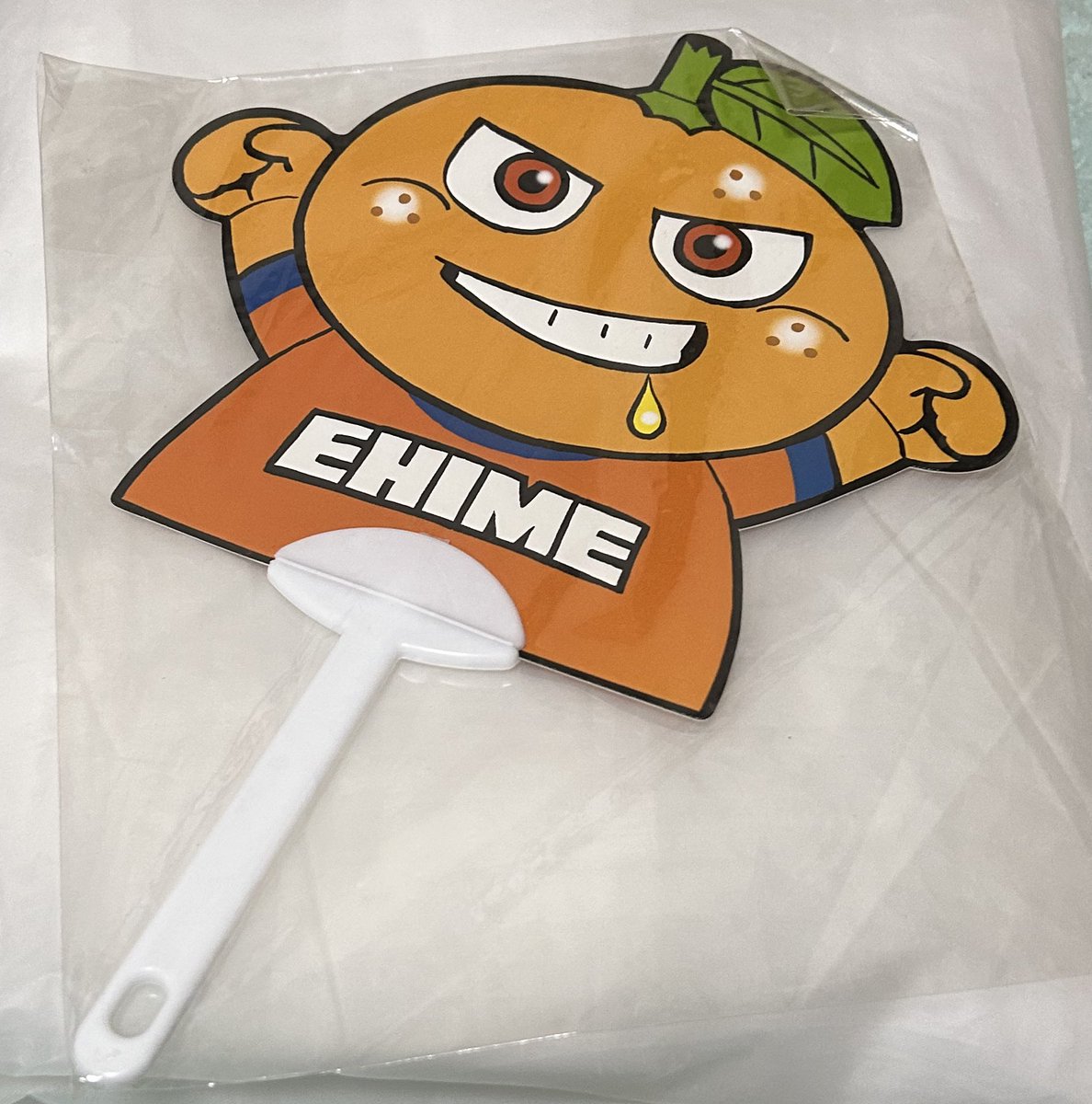 FATBoySLIM_wccf's tweet photo. 色々と断捨離しています。
未開封のレアアイテムがあった❣️
いつの時代の甲府戦なんだろう❓
#オーレくん
#ORLE https://t.co/mlK6K8C2sV