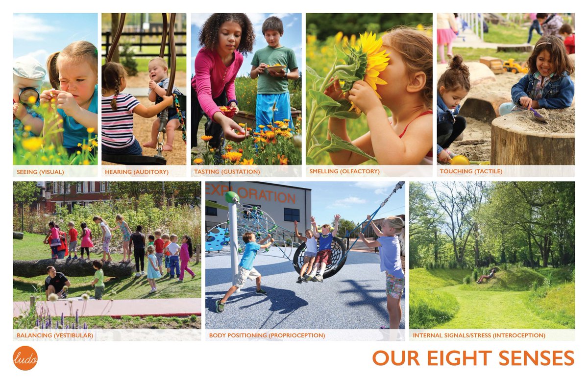 We don't talk enough about how play supports our whole body....including our hidden senses. Play is not just about physical movement, but creating opportunities of joy, connection, and stimulation of our whole self, throughout life.