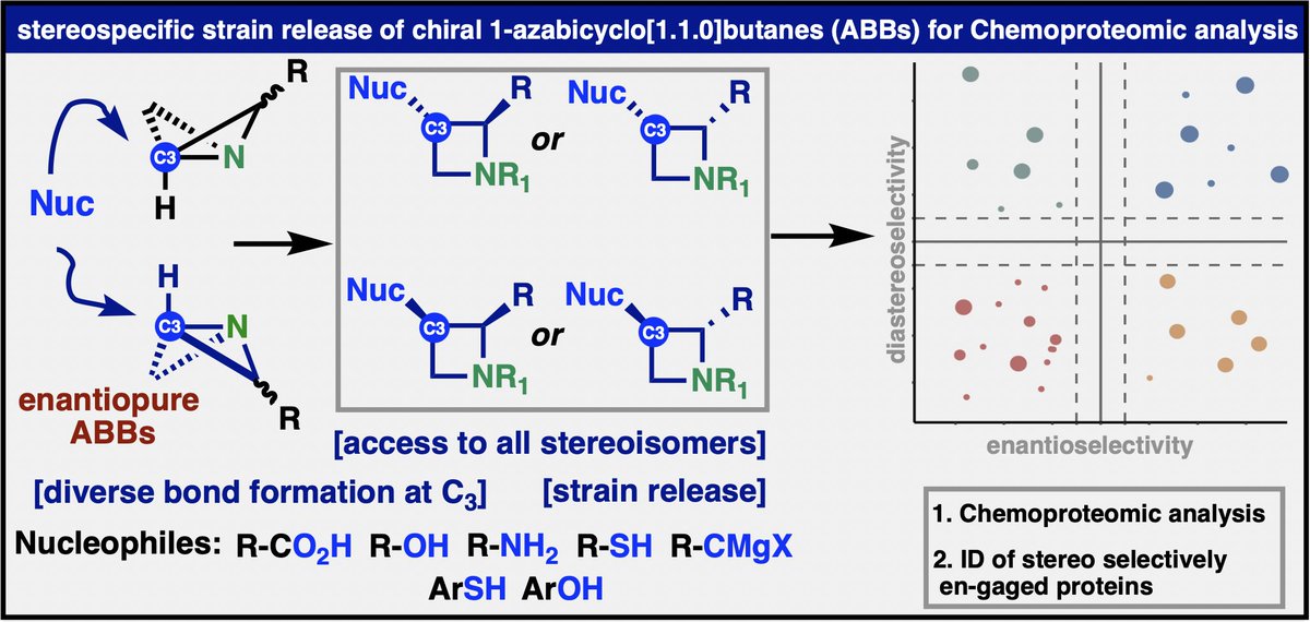 Simple, Enantiocontrolled Azetidine Library Synthesis via Strain Release Functionalization of 1-Azabicyclobutanes. A fantastic collaboration with the Cravatt lab. 

A simple, modular, programmable approach to access complex stereopure azetidines through strain-release