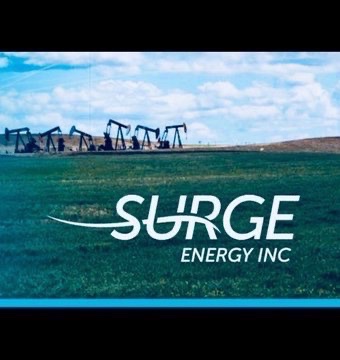 PetroGirl tweet media