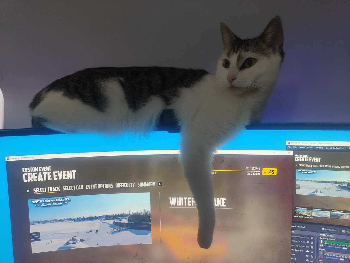 Dagon in places she shouldn't be... Yes that is laying across the top of a pretty narrow monitor 🤦🤣