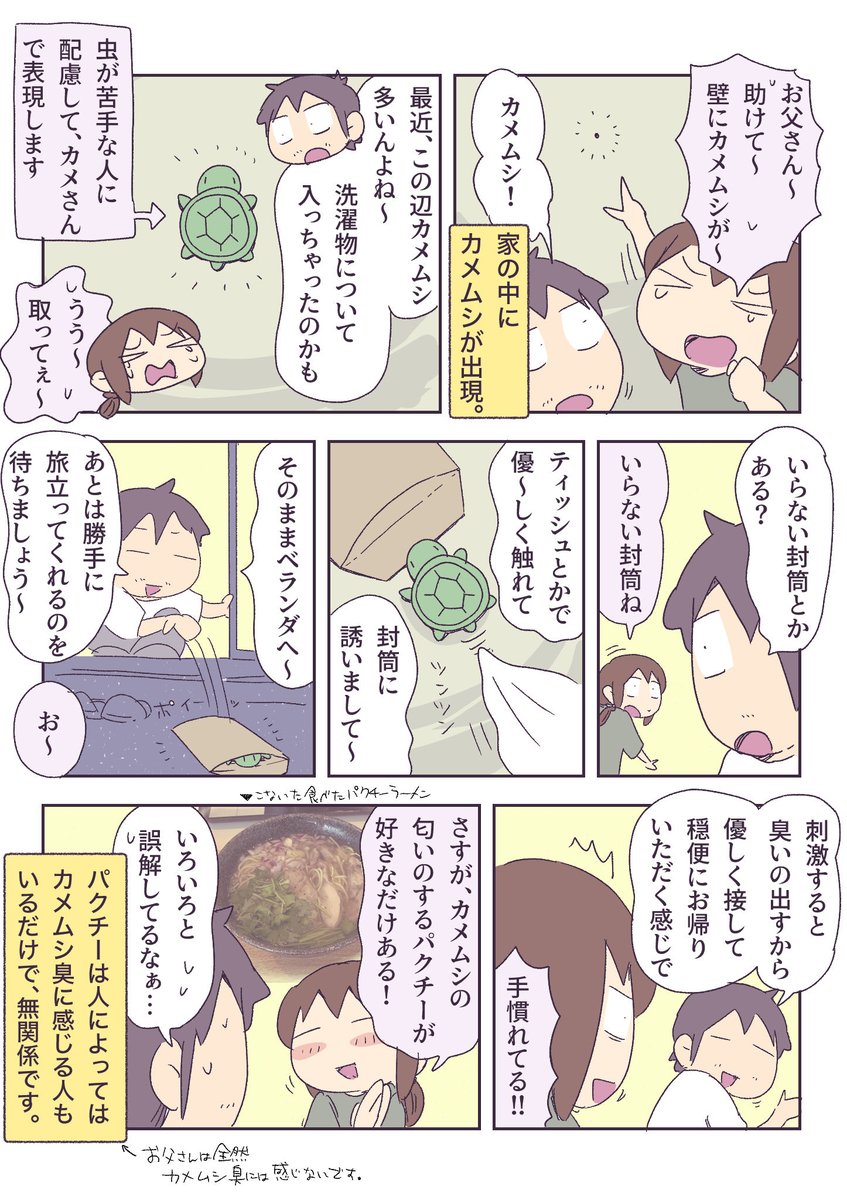 家に現れたカメさん 