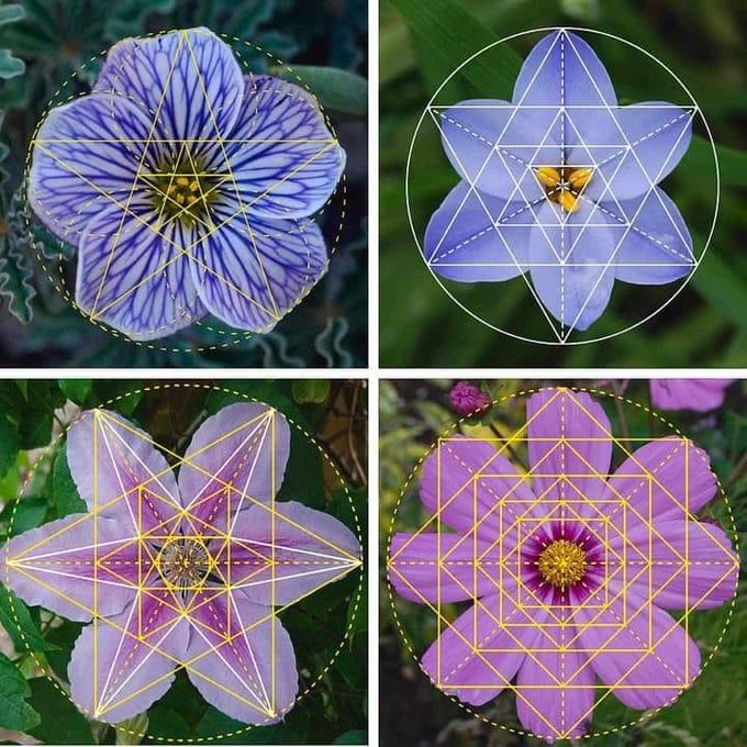 Rainmaker1973's tweet photo. «[The universe] is written in the language of mathematics, and its characters are triangles, circles, and other geometric figures»

— Galileo Galilei, Il Saggiatore, 1623 https://t.co/gpFzwxeR3X