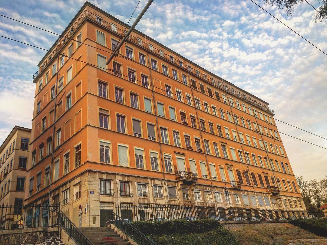 ONLYLYON tweet media