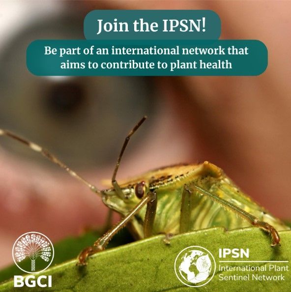 Is your Botanic Garden/Arboretum interested in🌿Biosecurity and Plant &amp; Disease🪲monitoring? Join the IPSN membership at no cost! 
🔍 Access info/resources🤝Collaborate globally🌍Contribute to global plant health efforts 
To join, contact us! 
More: buff.ly/490oD6O