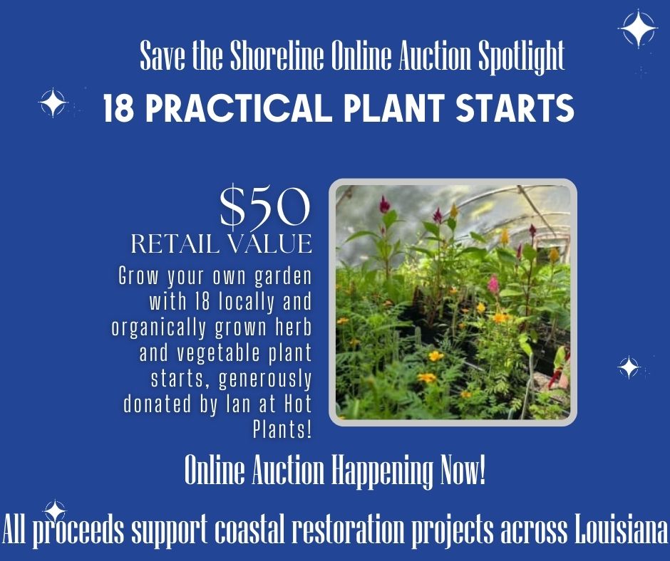 Looking to start your own garden? The Save the Shoreline online auction is open and ready for bidding until September 28 at 10p.m.

Bid on items including 18 practical plant starts from Hot Plants, Saints tickets, and more!

Bid now: zeffy.com/en-US/ticketin…