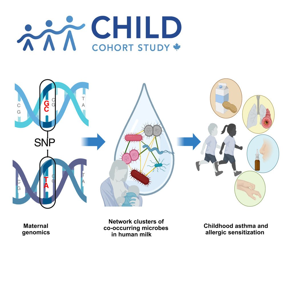 Cell Host & Microbe (@cellhostmicrobe) on Twitter photo Human milk microbiota associated w/host genomics, asthma & allergic sensitization
<a href="/QinglingDuan/">Qingling Duan</a> uncover associations between host genomics & milk microbiota via <a href="/CHILDSTUDY/">CHILD Cohort Study</a>
Heritable milk microbes may promote/prevent childhood asthma/allergic sensitization
cell.com/cell-host-micr… Human milk microbiota associated w/host genomics, asthma & allergic sensitization
<a href="/QinglingDuan/">Qingling Duan</a> uncover associations between host genomics & milk microbiota via <a href="/CHILDSTUDY/">CHILD Cohort Study</a>
Heritable milk microbes may promote/prevent childhood asthma/allergic sensitization
cell.com/cell-host-micr…