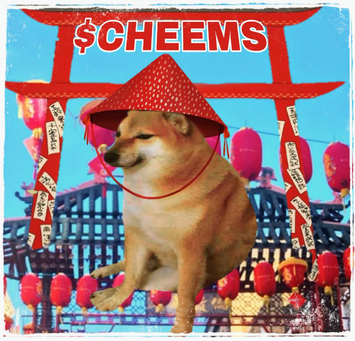 CheemsChina's tweet photo. @cishanjia 奶子哥 我们是cheems 中文社区希望您能支持cheems 这个ip 是可以比肩doge shib 的三大狗之一。 我们是23年的币如今从CTO中复活归来了，这次我们剑指10B 争取成为币圈奇迹  $cheems
合约：0x41B1f9dcd5923c9542b6957B9B72169595ACBc5C https://t.co/q6taAHuG0p