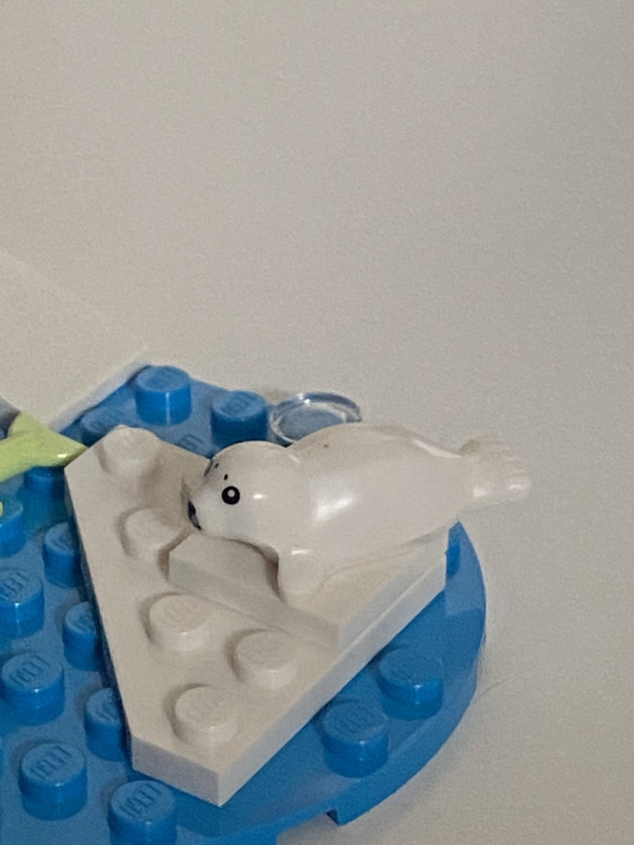 merulify's tweet photo. Let me show u guys my fav Lego piece of all time (ignore the ninjago guy he has nowhere to go) https://t.co/2HhHDhrufL