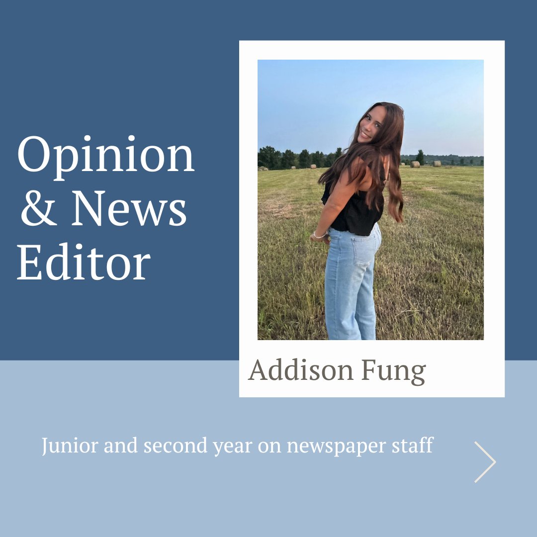 The Bell tweet media