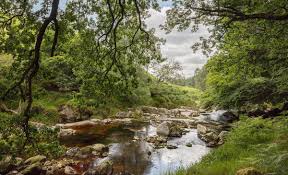 5S_Discover's tweet image. Looking forward to working with @confeycollege TY students on their projects on Kippure and the river Liffey. We'll be using #spatialdata in #arcgisonline and using #storymapping to display their work. Get in touch to get your TY students invoved #believeinscience