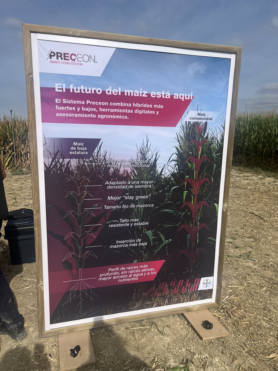 Uno de los mayores beneficios de #PRECEON se encuentra debajo de la tierra.
#agua #sostenibilidad #MedioAmbiente #Maíz