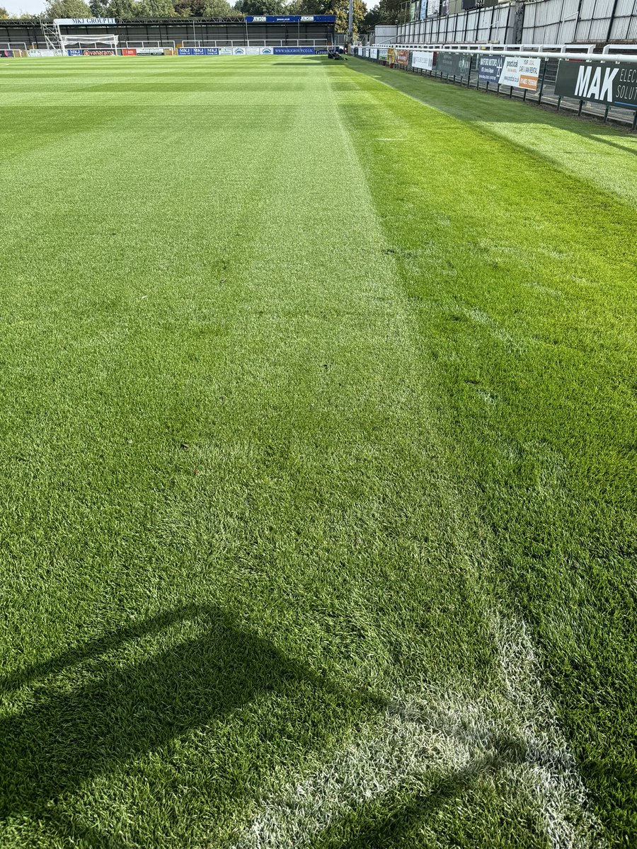 david langheim tweet media