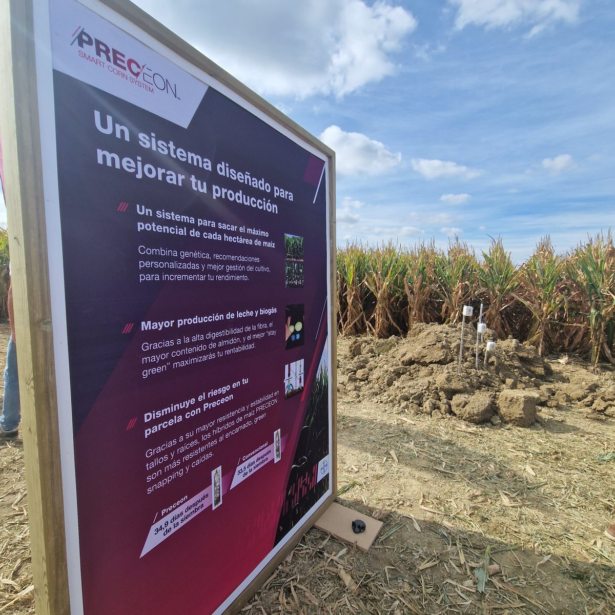eComercioAgrario tweet media
