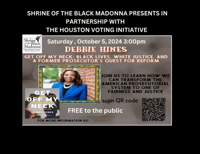 Houston Voting Initiative tweet media