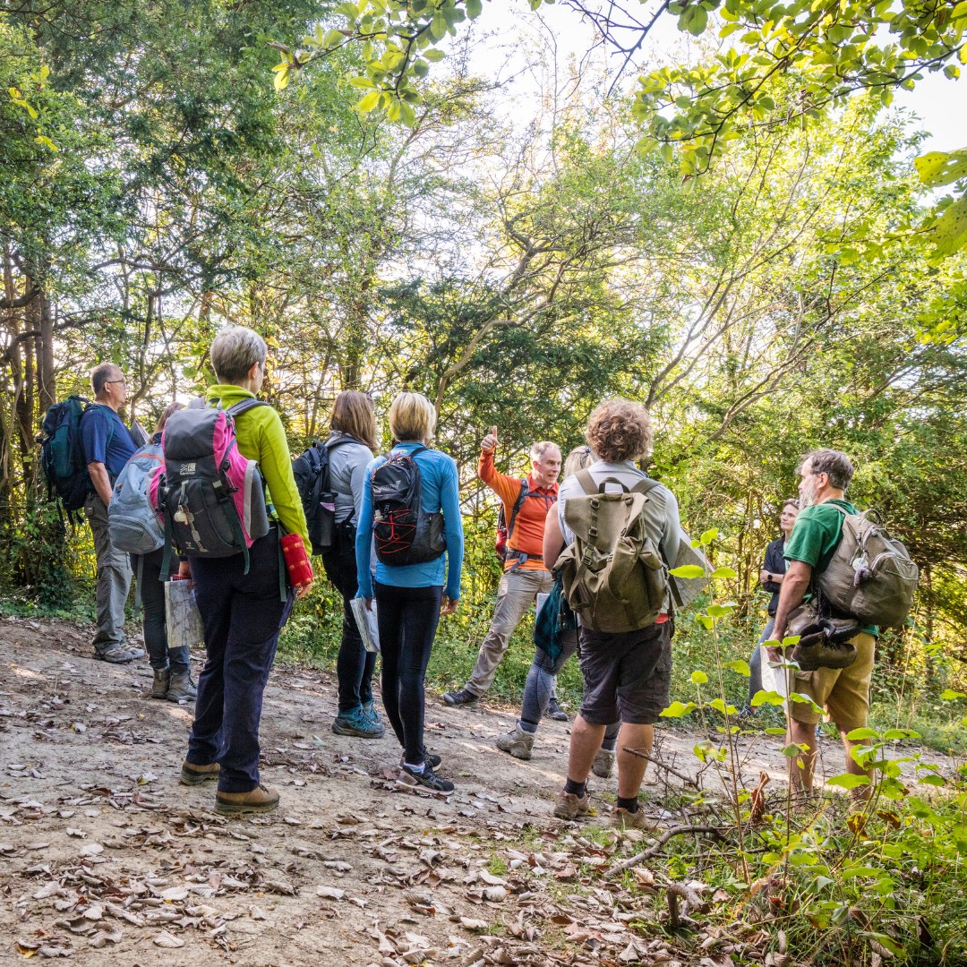 Become a North Downs Way ambassador! 🌟 Why?
💚 The role is unique to you.
💚 All interests &amp; walk types are welcome. 
💚 Volunteering is great for learning new skills.
💚 FREE resources &amp; training provided.
🔗 Apply by 8th November 2024 here bit.ly/3XuDOkc