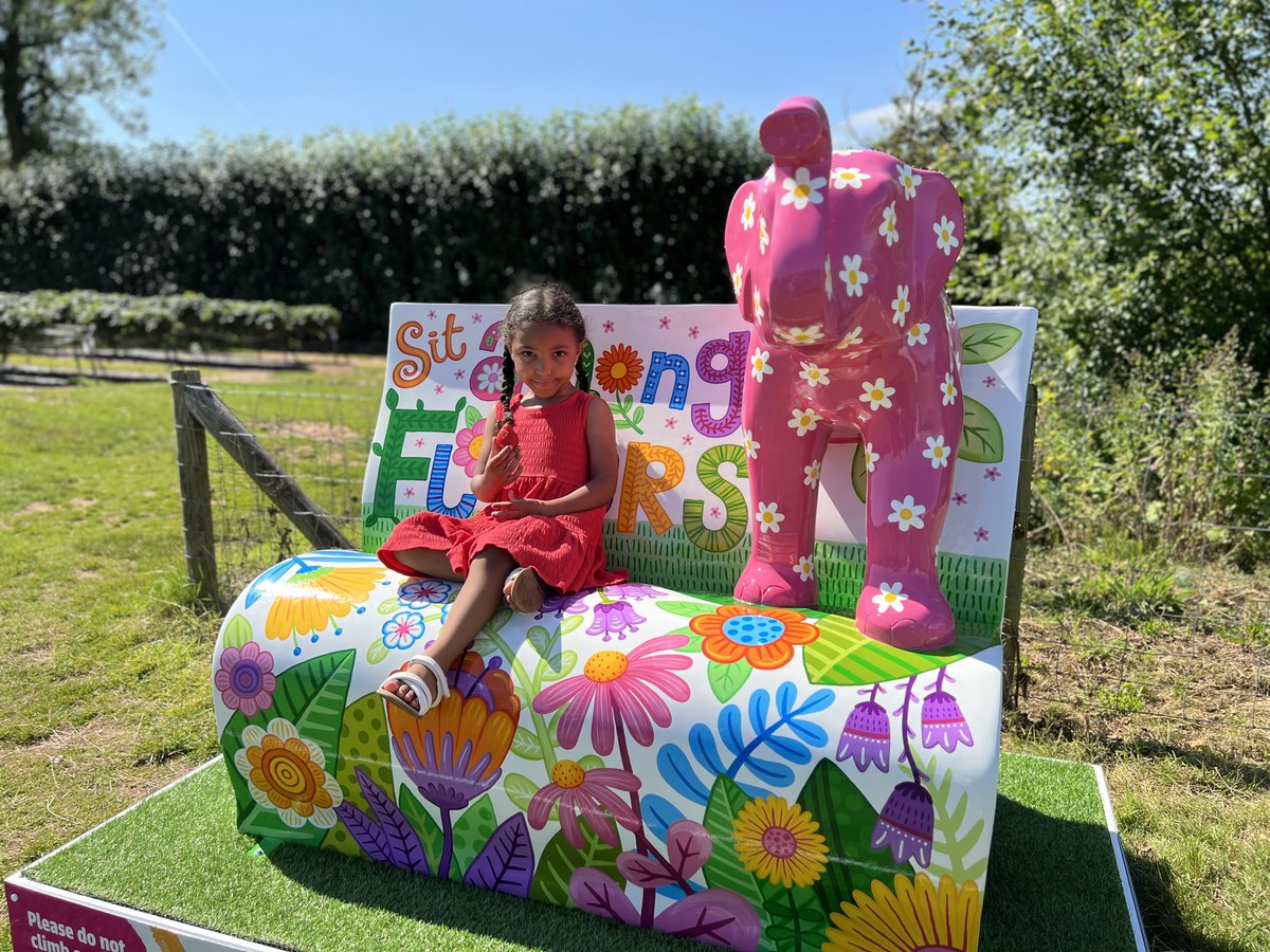 Last night was the grand finale of March of the Elephants in support of St. Giles &amp; what a night it was! Farmer Simon joined the auction at Lichfield Cathedral. We are thrilled to announce that our Fruity Frida has found her forever home with us &amp; the beautiful book bench!🐘📖🧡