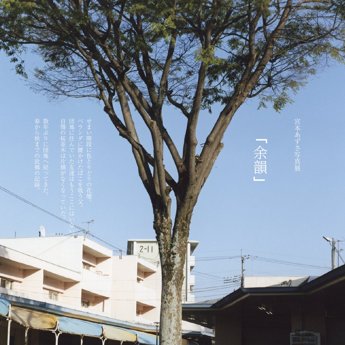 studio_ebis's tweet photo. OGの宮本あずささんが弘前市で写真展を開催します。

宮本あずさ写真展「余 韻」
日  時： 10月12日(土)～10月20日(日)
10:00～17:00 (会期中無休)
場  所： ギャラリーまんなか
弘前市吉野町1-6
(弘南鉄道大鰐線 中央弘前駅内)

#studioebis #ebis #OG #宮本あずさ #写真展 #余韻 #ギャラリーまんなか https://t.co/9cXMOaN68y
