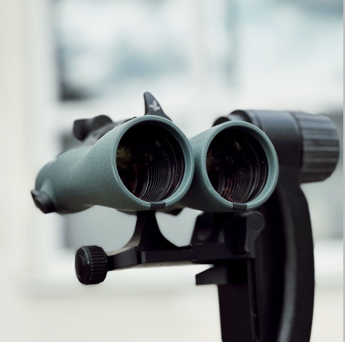 FocalpointBinos's tweet image. See the world in crystal-clear detail with the Swarovski 14x52 NL Pures✨ Elevate your adventures and capture every moment with precision and brilliance 👀

#SwarovskiOptics #SharpVision #AdventureAwaits #CrystalClarity #binoculars #outdoors #nature #naturephotography…