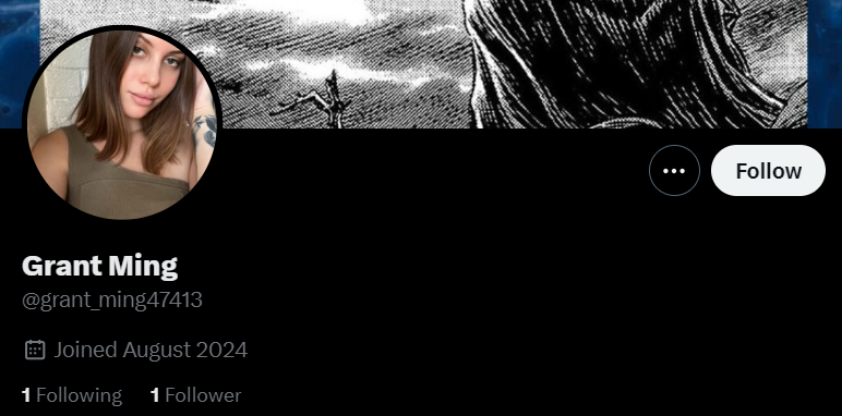 Totally real Twitter account/name of the day