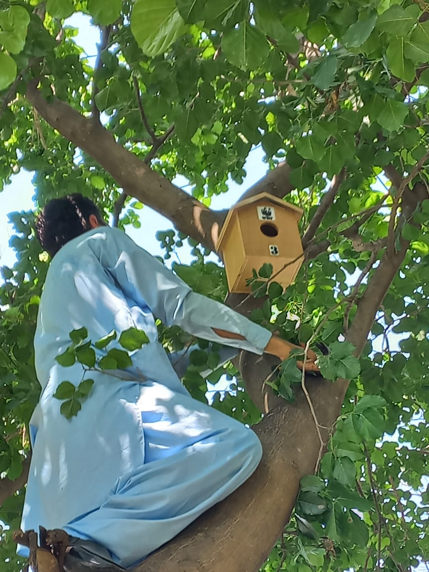 WWFPak's tweet photo. #DYK Islamabad is home to around 391 bird species, but rising temperatures and urbanisation are threatening their habitats. (1/5) https://t.co/bghTS4VvuJ