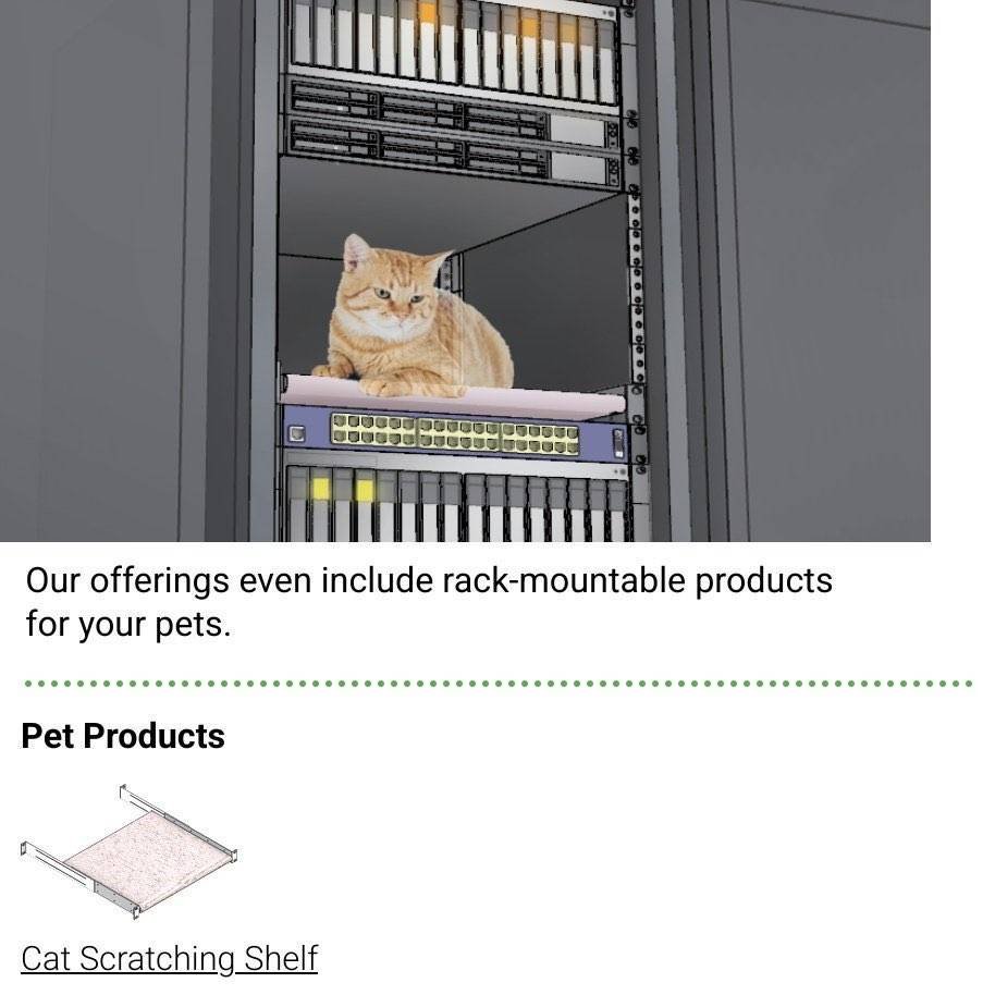 𝔅͛𝔯͛𝔦͛𝔞͛𝔫͛ ͛𝔚͛𝔥͛𝔢͛𝔩͛𝔱͛𝔬͛𝔫͛ tweet media