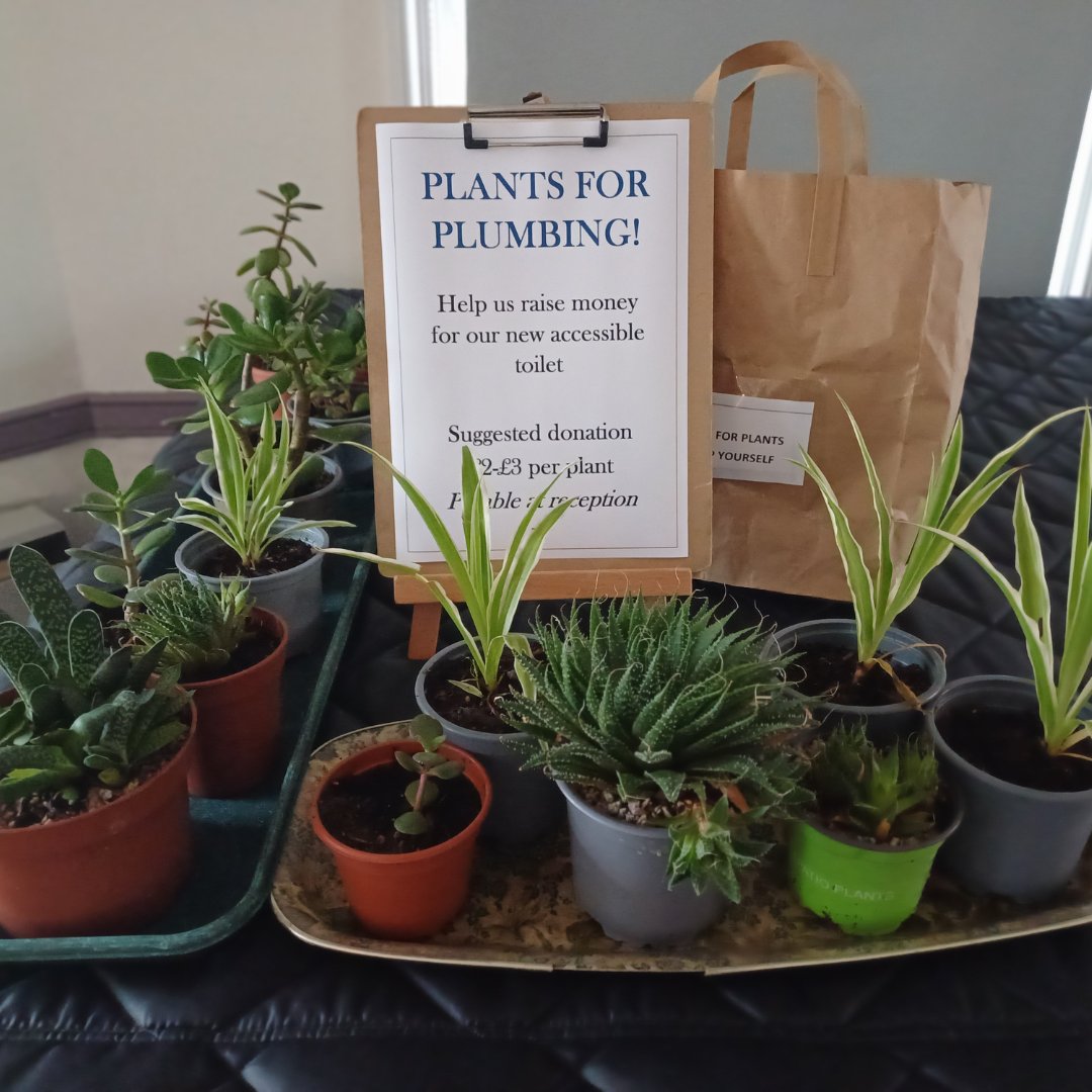 Plants for plumbing! 🪴💦

Bring the outside in with our selection of vibrant plants. Choose your favourite (or few!) &amp; make a donation to help us fund the next phase of our Community &amp; Wellbeing Centre, which includes installing an accessible toilet. 

Suggested donation: £2-£3.