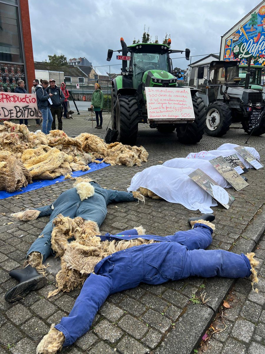 fugea's tweet photo. Action #FCO en cours à Namur ! 

🐑 Les éleveurs et éleveuses ovins présents pour  visibiliser les dégâts vécus dans leur ferme !

Et demander des soutiens politiques forts et concrets ! https://t.co/AsaDWbL81q