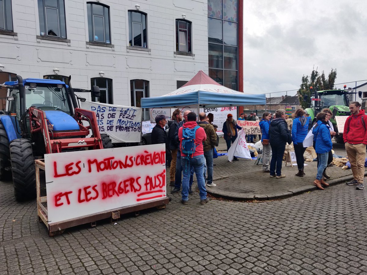 fugea's tweet photo. Action #FCO en cours à Namur ! 

🐑 Les éleveurs et éleveuses ovins présents pour  visibiliser les dégâts vécus dans leur ferme !

Et demander des soutiens politiques forts et concrets ! https://t.co/AsaDWbL81q