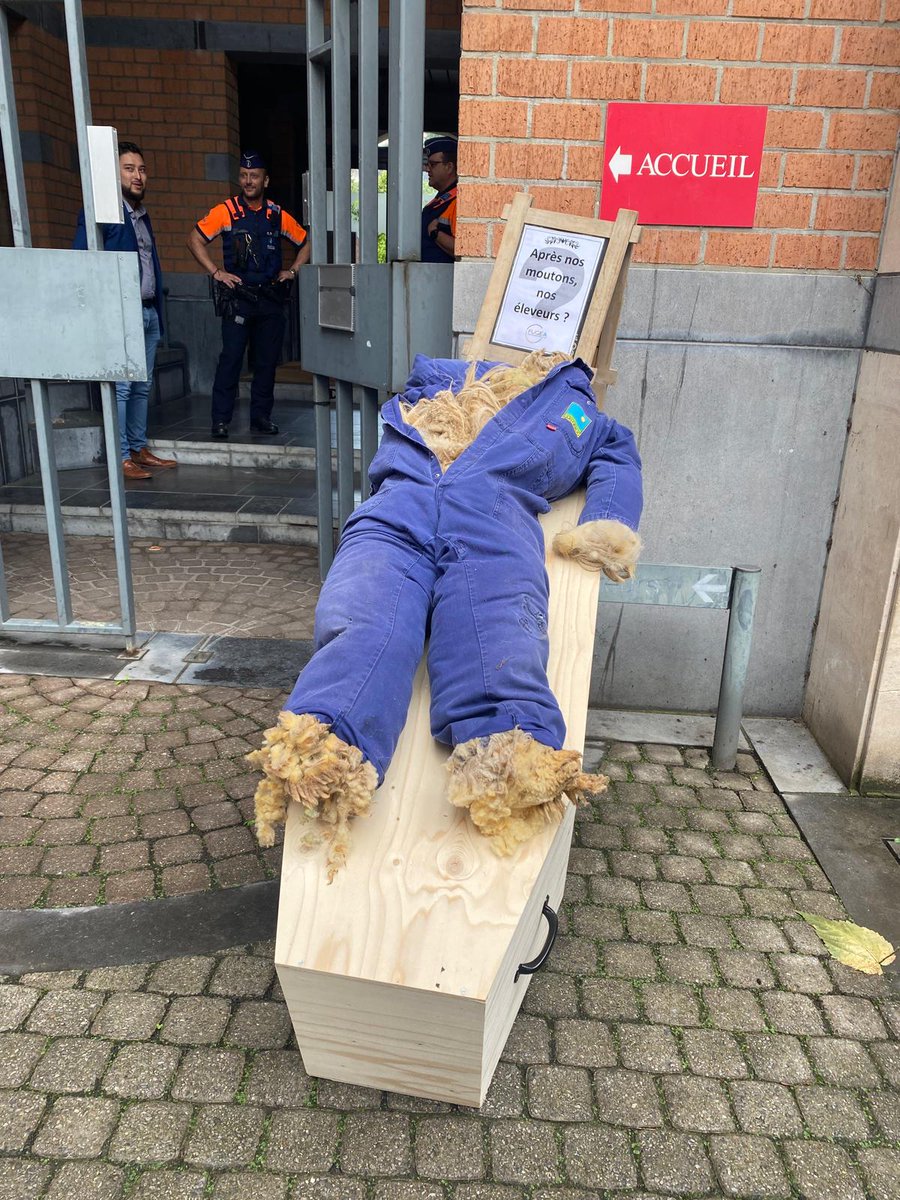 fugea's tweet photo. Action #FCO en cours à Namur ! 

🐑 Les éleveurs et éleveuses ovins présents pour  visibiliser les dégâts vécus dans leur ferme !

Et demander des soutiens politiques forts et concrets ! https://t.co/AsaDWbL81q