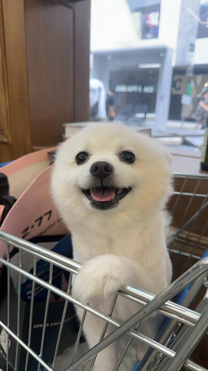 Asher_Bingx's tweet image. x.com/Asher_Bingx 

Here’s my official Twitter account, followed by @BingXOfficial. You&apos;re welcome to follow each other, and feel free to share more industry insights and unique perspectives. #BINGX