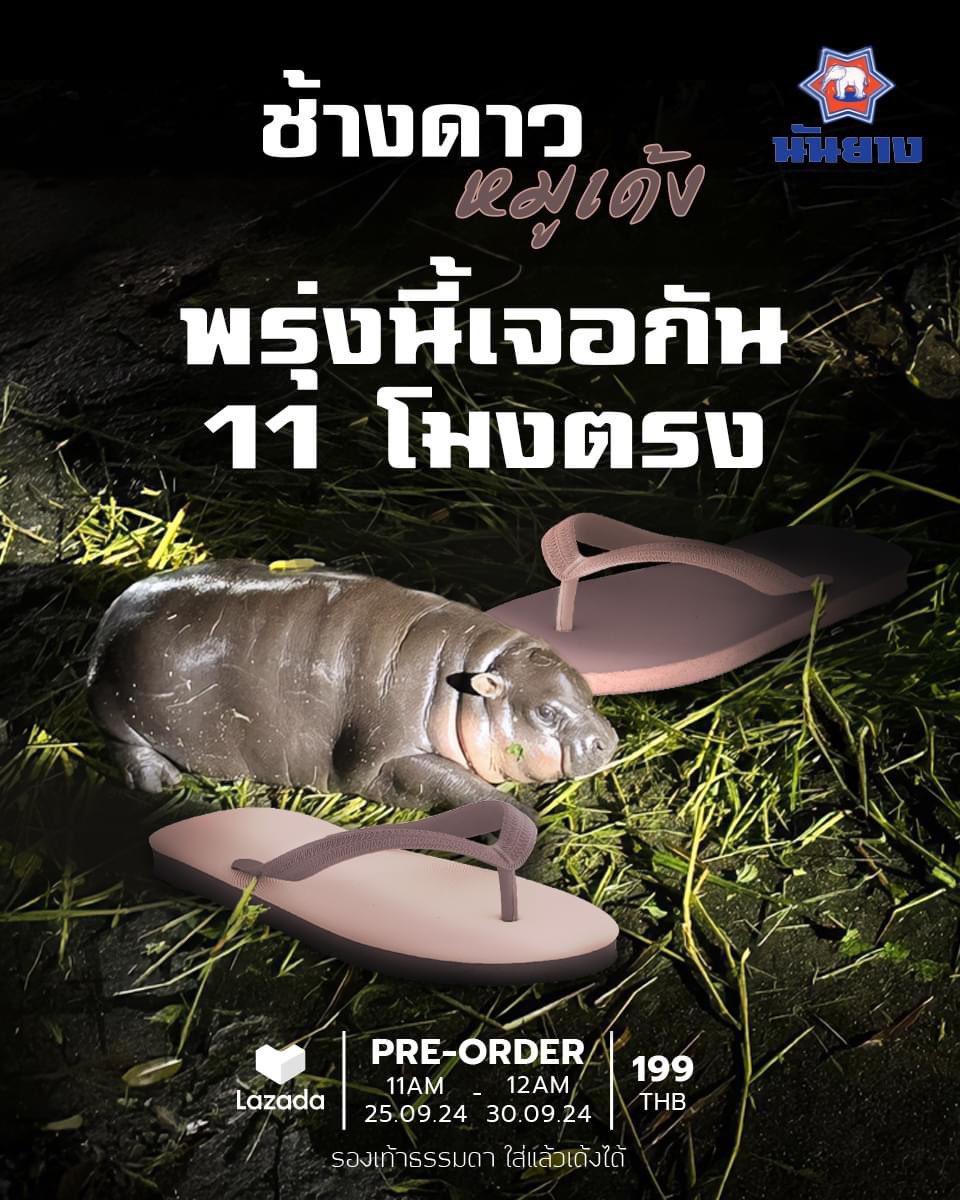 yzoseriouz's tweet photo. นันยางเป็นแบรนด์เดียวที่ทำการตลาดโดยใช้กระแสหมูเด้งอย่างถูกต้องและมีมารยาทที่สุด เพราะ
1.คอลแลปกับสวนสัตว์โดยตรง 
2.รายได้สมทบทุนช่วยผู้ประสบภัยน้ำท่วมและดูแลสวัสดิภาพสัตว์ 
3.ให้เครดิตรูปเพจขาหมูแอนด์เดอะแก๊ง https://t.co/yTTr5qgSnj