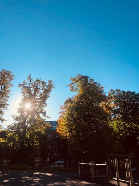 AustinFAlumni's tweet photo. Some more snaps of school looking fantastic in the autumn morning sunshine! 🍂🍁🌻😎🥰 https://t.co/AAsouaVqXI