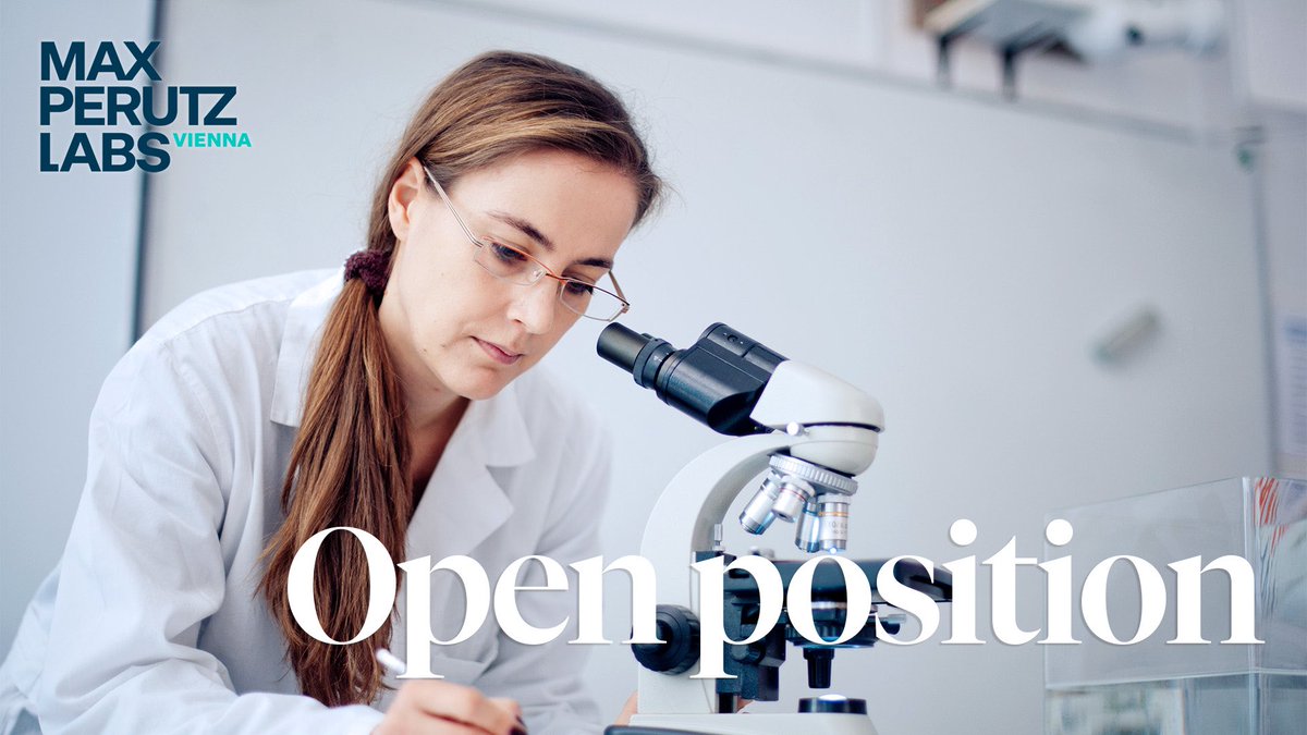 You 🫵 are into technical support, experimental assistance and safety?  Perfect! The Department of Microbiology, Immunobiology &amp; Genetics is in search for an organized and proactive technical assistant to manage their central infrastructure - read more ➡️ tinyurl.com/mr2scud9