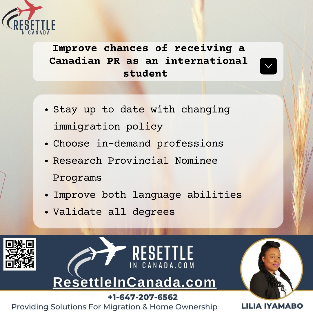 ResettleC's tweet photo. Are you an international student dreaming of making Canada your forever home? Here are a few essential steps to improve your chances of receiving Canadian PR
DM us for personalized advice and support!
#CanadianPR #InternationalStudents #ResettleInCanada #Canada #StudyInCanada https://t.co/U2iqJWgHq0