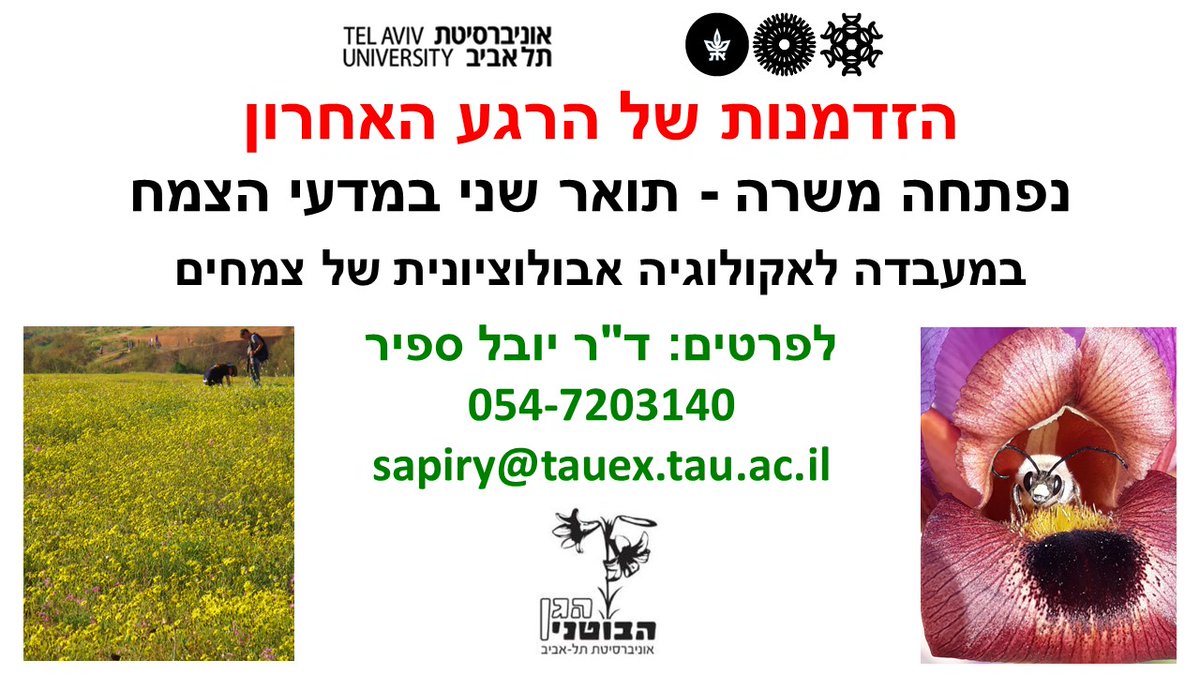 יובל ספיר מחפש סטודנט.ית לתואר שני באקולוגיה אבולוציונית של צמחים 🌹