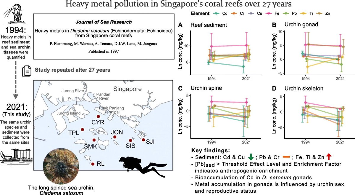 Experimental Marine Ecology Laboratory (@emel_nus) on Twitter photo 📢 New EMEL paper led by <a href="/zzhui43/">Sze Hui Foo</a> published in Marine Pollution Bulletin! 📢 It compares heavy metal levels in coral reef sediment and sea urchin tissues from 1994 to 2021 in Singapore, revealing mixed temporal trends and differences between sexes. 🌊🦔
doi.org/10.1016/j.marp… 📢 New EMEL paper led by <a href="/zzhui43/">Sze Hui Foo</a> published in Marine Pollution Bulletin! 📢 It compares heavy metal levels in coral reef sediment and sea urchin tissues from 1994 to 2021 in Singapore, revealing mixed temporal trends and differences between sexes. 🌊🦔
doi.org/10.1016/j.marp…