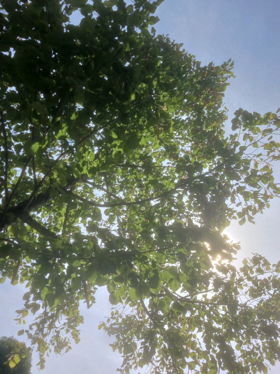 No me alcanzaría un solo tweet para resumir todos los beneficios que obtendrás al pasar tiempo en la naturaleza de forma regular