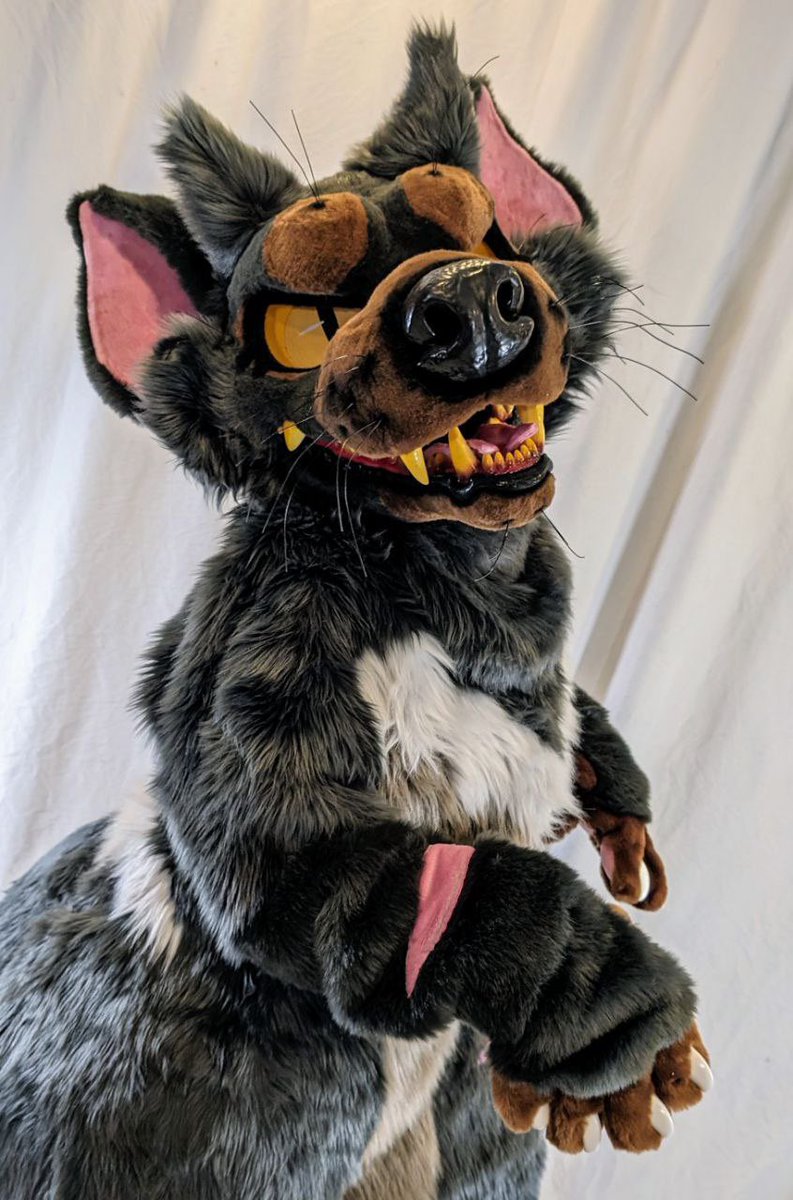 RockySheperd's tweet photo. RockySheperd's 50 Favorite @MoreFurLess Fursuiters: 3rd Edition 

🌟🌟TOP FIVE🌟🌟

⭐#5 - @Bug_The_Devil 

📷 - @MoreFurLess (Special thanks to @Bug_The_Devil for allowing me to use this photo) https://t.co/PlWWV4nzSB