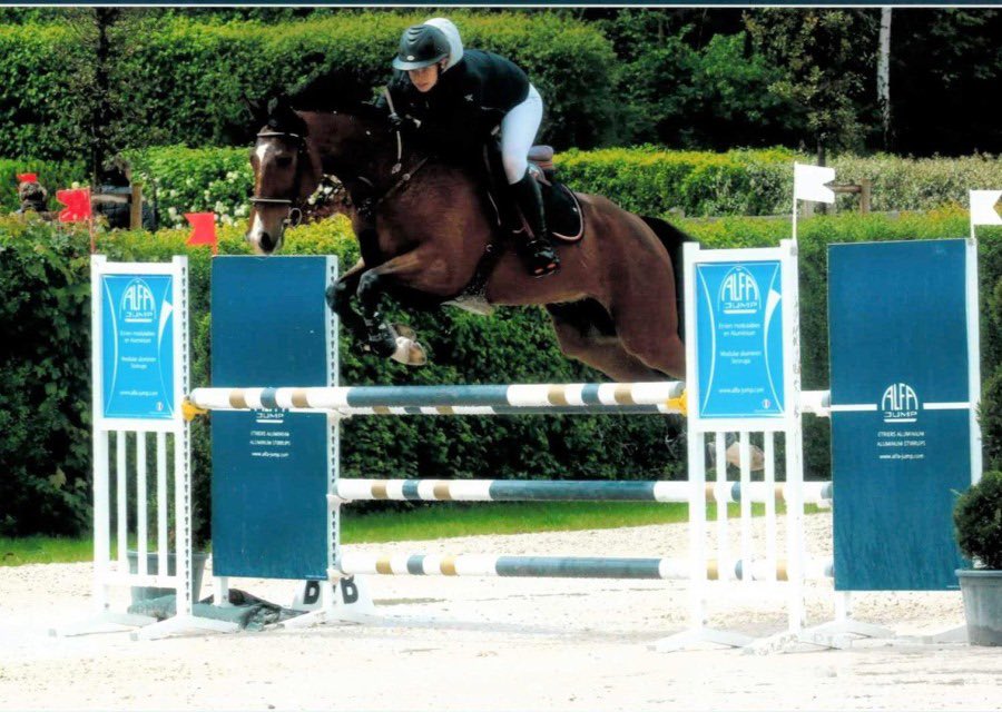 chevalannonce's tweet photo. 🐴 À vendre : Elmer du Villon (hongre)
📈 Performances : 5ème aux championnats 2024, Amateur 1
🏅 Aptitudes : CSO &amp; Hunter
📏 Taille : 170 cm, 10 ans, Bai
❤️ Caractère : Gentil et attachant
🔗 Plus d'infos : https://t.co/BD5hxrJV2C
#chevalavendre #chevaux #equitation https://t.co/pOzQOhwU3b
