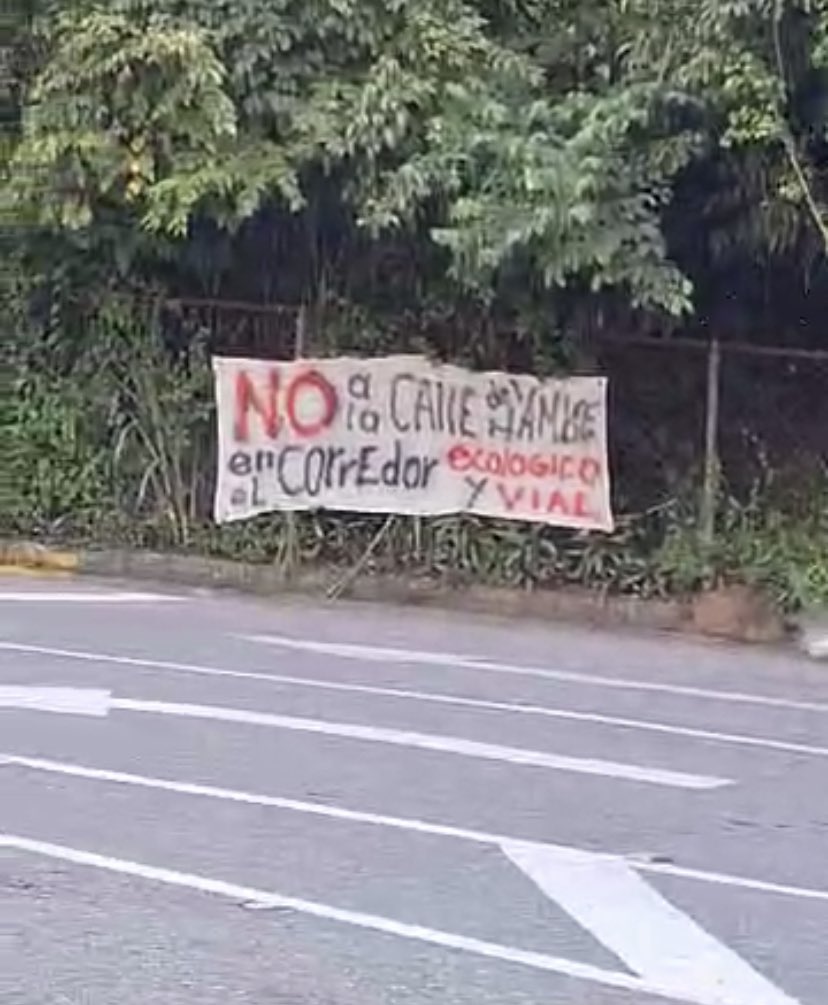 Colineros Activados tweet media