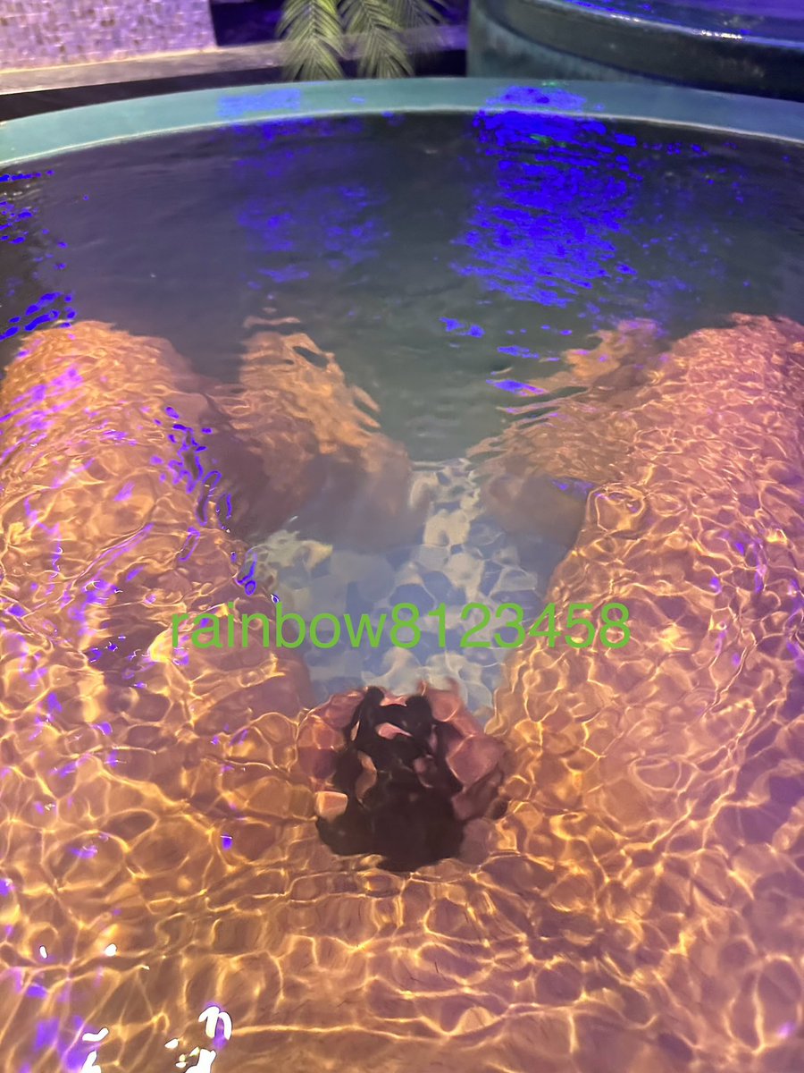 这水纹都不要打码