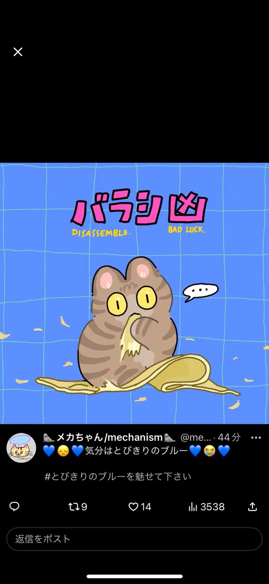 withkennychan's tweet photo. @tronc_miii 🥰🐈💕 https://t.co/WmRJQl2JRh