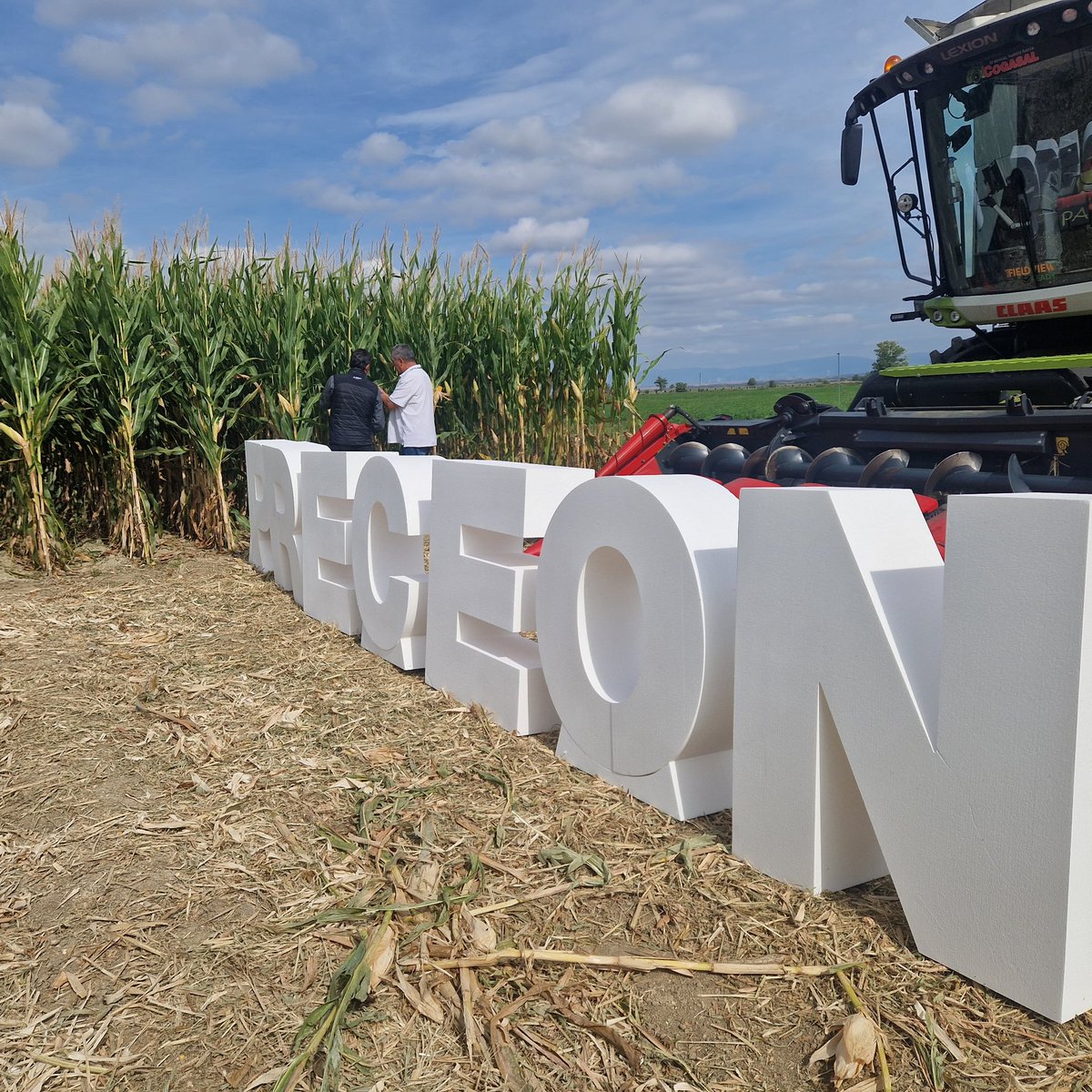 eComercioAgrario tweet media